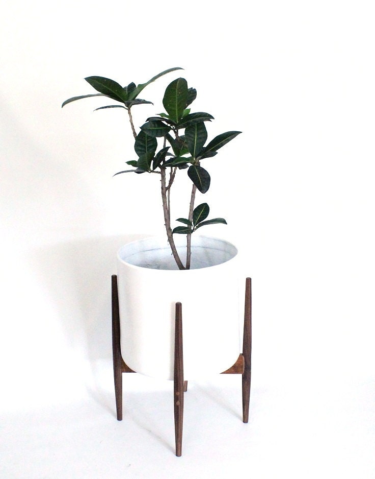 large plant stand indoor