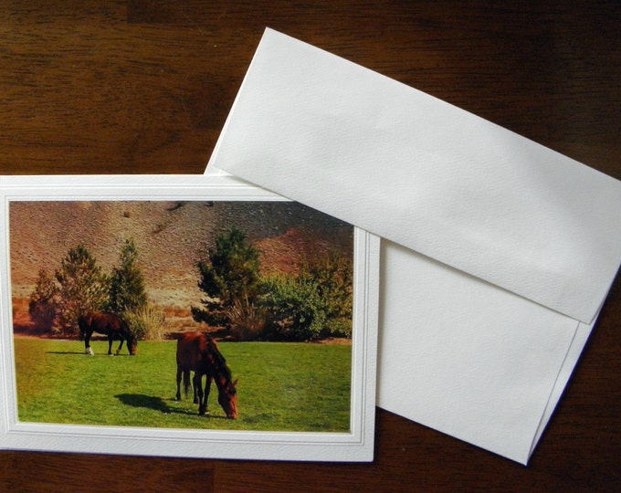 WILD HORSE Photo Cards featuring Wild Mustang Horses of northwestern Nevada created by Pam of Pam's Fab Photos