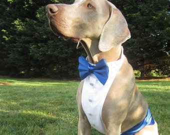 Dog Tuxedo Shirt/Formal Attire