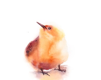 Items similar to Bird & Violin nursery art watercolor customizable on Etsy