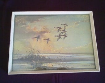 Vernon Ward Print "Over the Flats"