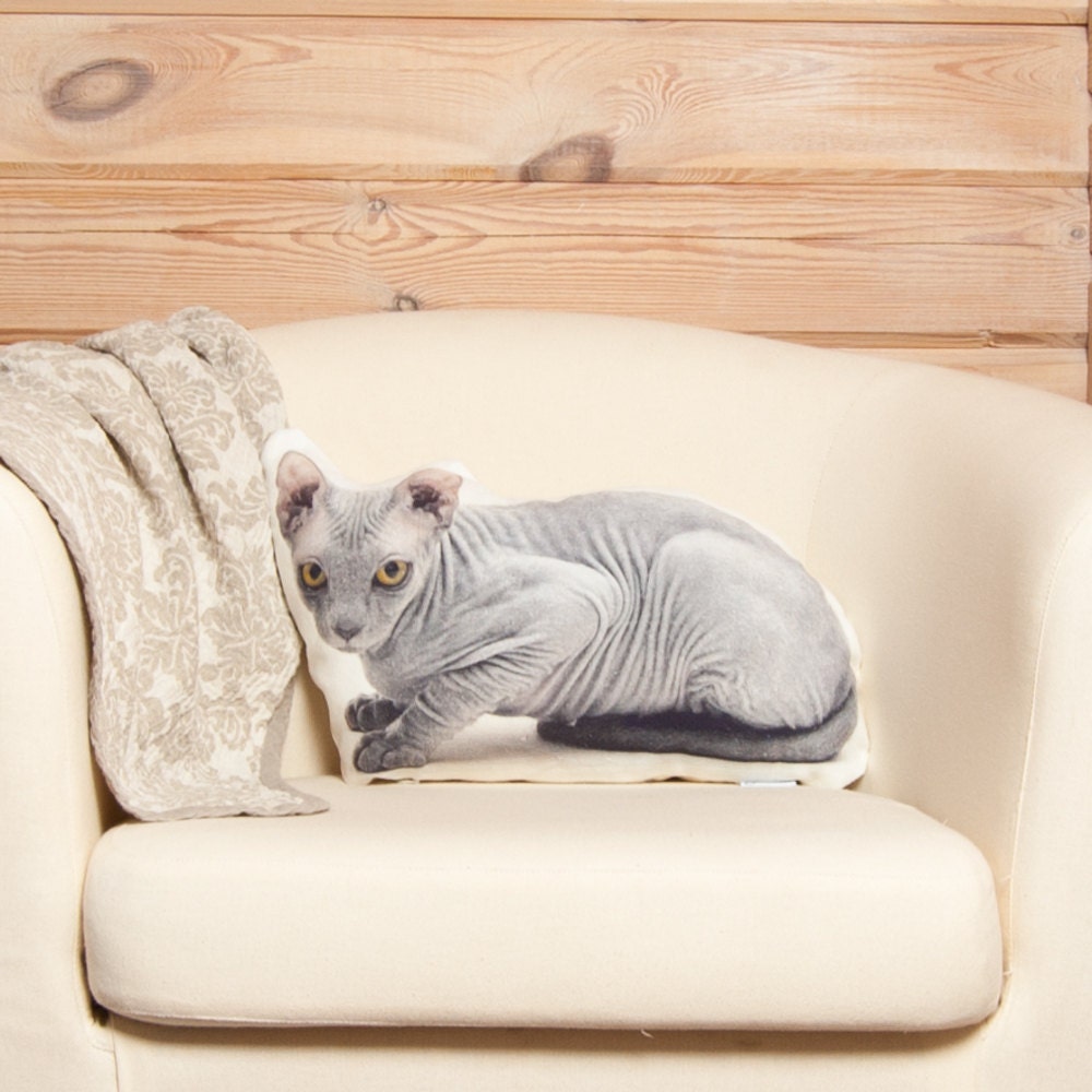 sphynx cat pillow