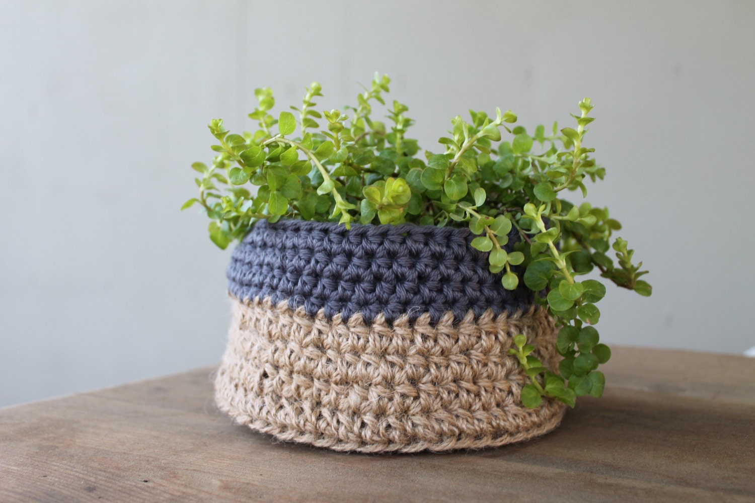 Medium Crochet Plant Holder Crochet Plant Holder Crochet