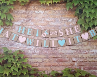 PETITE Gender Reveal, He or She What Will It Be? Banner, Alternating Pink and Blue Letters, He Or She What Will It Be? Sign, Jute Twine