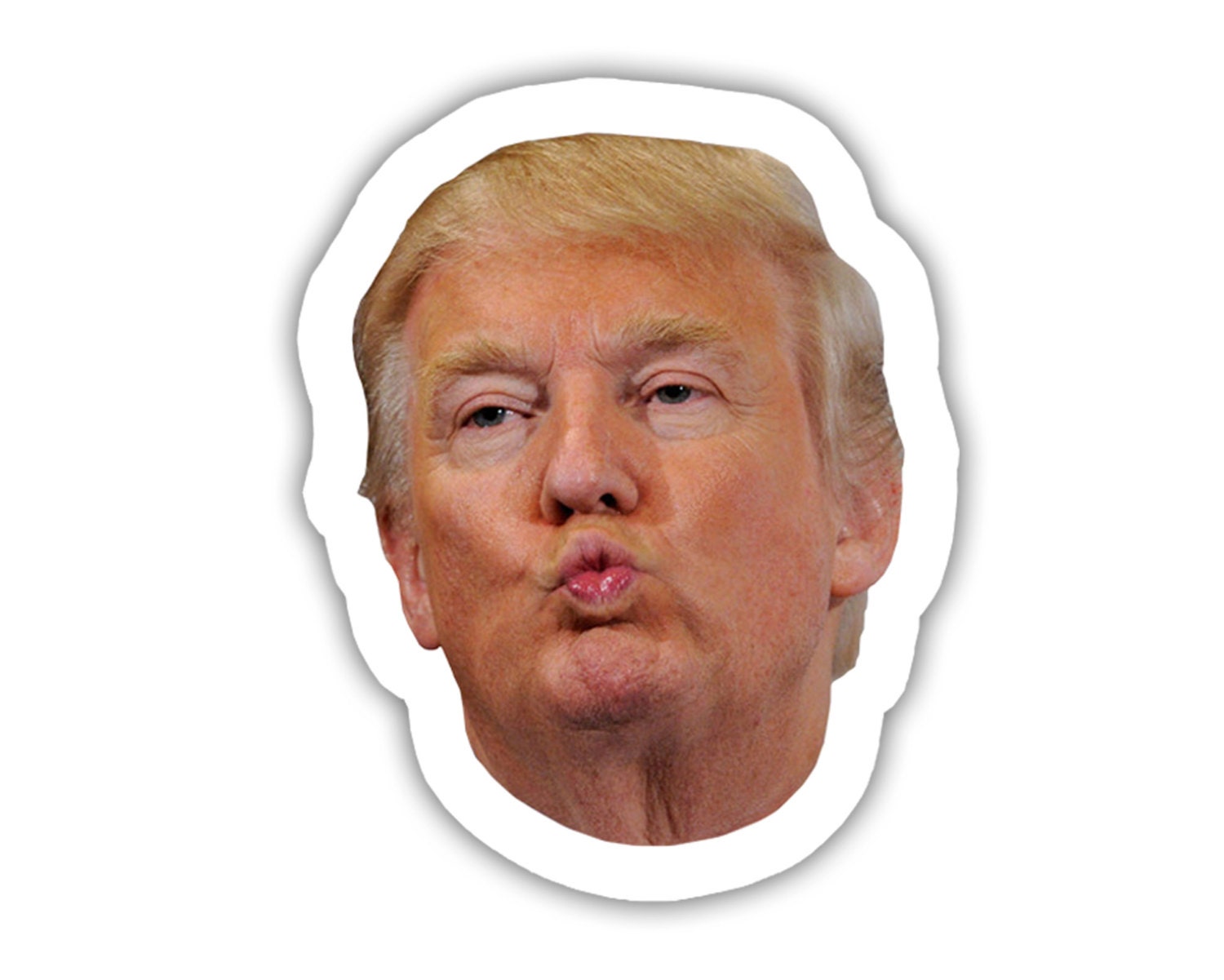 Donald Trump Funny Face Vinyl Decal Sticker from TheFatPigeonShop on ...