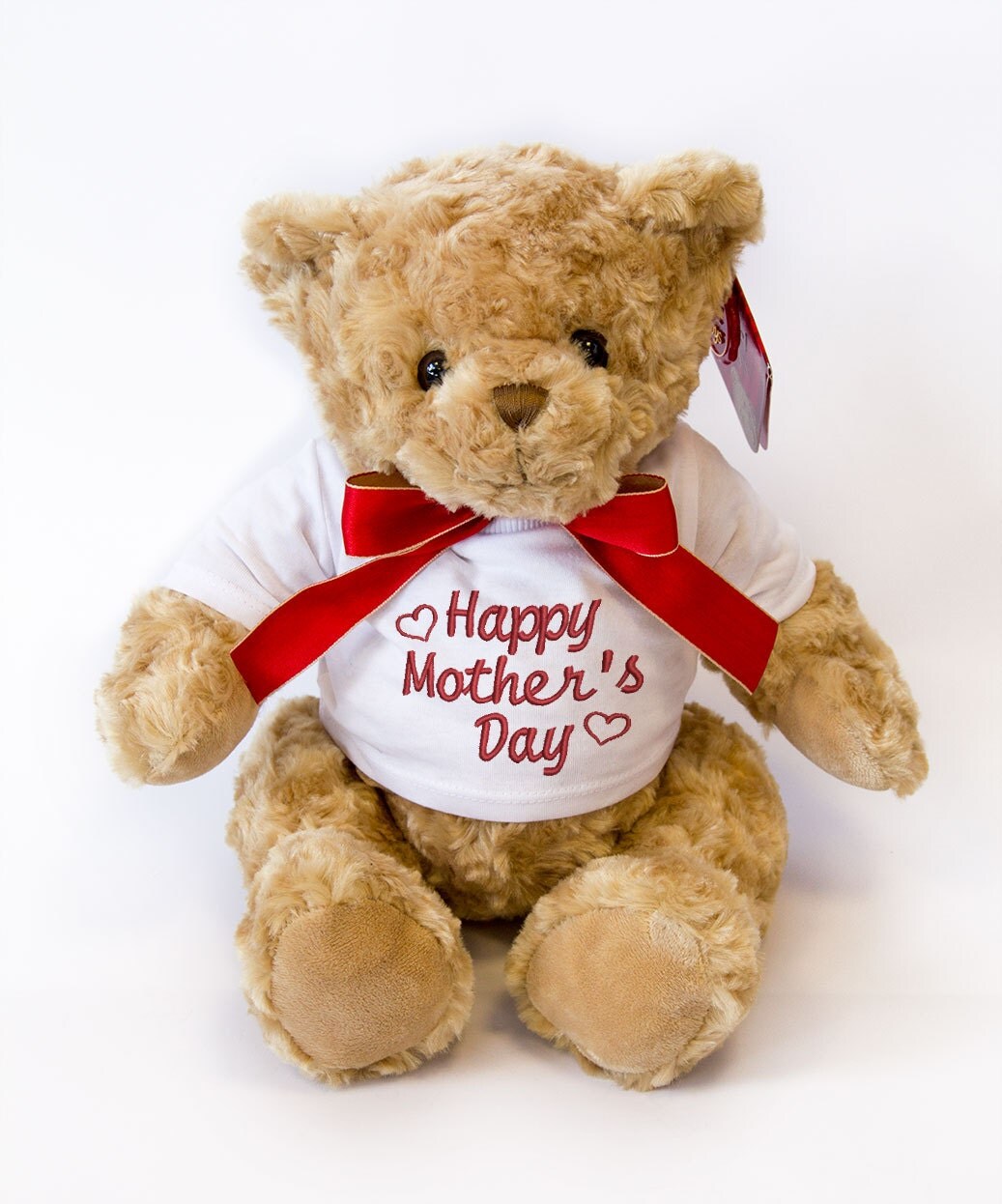 giant mother's day teddy bear