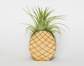 Pineapple air plant holder. Air plant holder. Air plant. Tropical decor. Pineapple decor. Air plant terrarium. Planter. Mini planter.