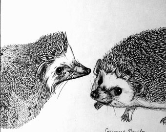 Mini Custom Pet Portrait: ink sketch, 4" x4"