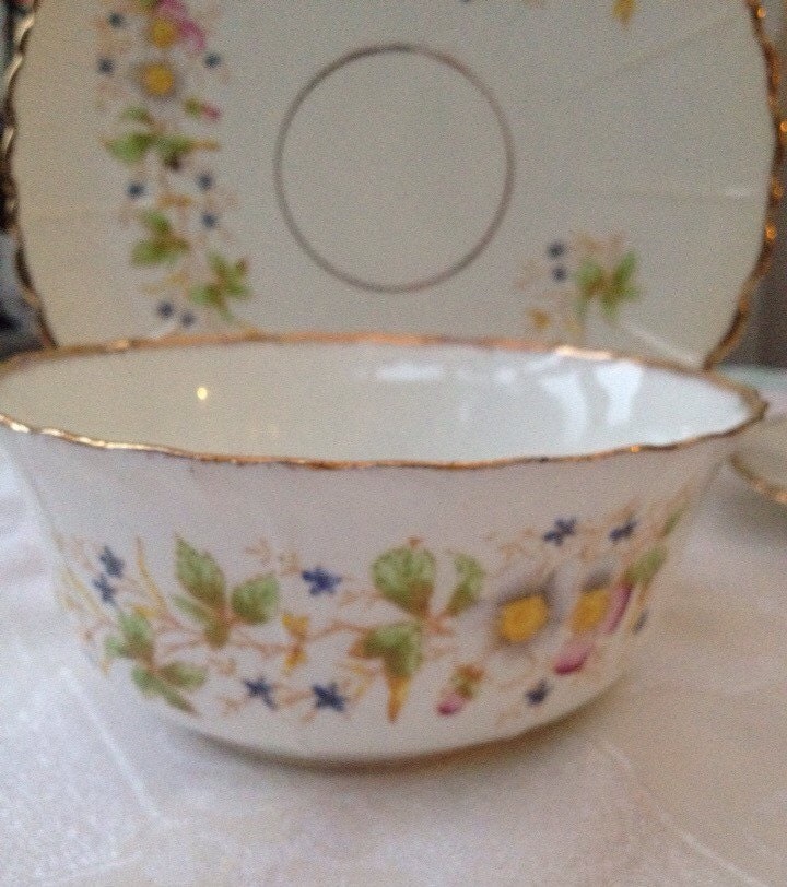 Antique Edwardian Rose Longton Slop Bowl – Haute Juice