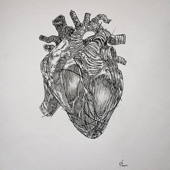 Items similar to Human Anatomy "HEART" - Pencil Drawing - Fine Art