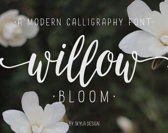 Modern calligraphy font / calligraphy typeface / wedding font download Willow Bloom / hand lettered fonts / calligraphy font watercolor