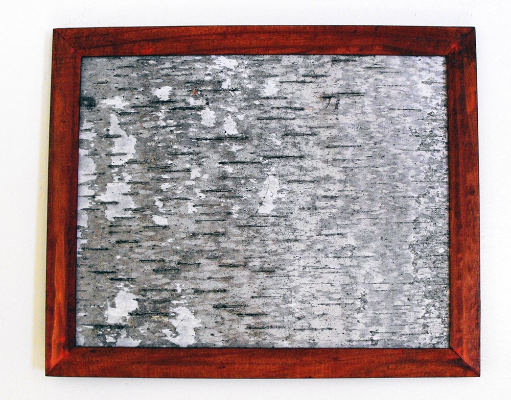 Birch Bark Wall Art In Red Wooden Frame