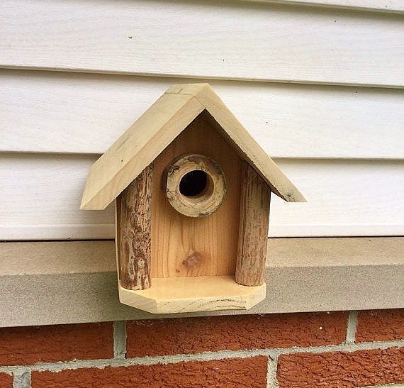 Cedar Birdhouse Handcrafted Natural Wood Predator Guard and