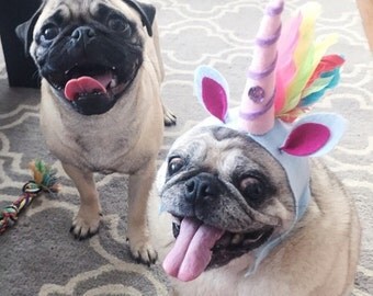 Pet Clothing | Etsy