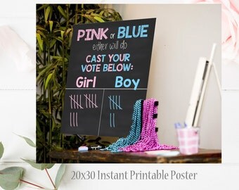 Baby Shower Sign | Pink or Blue Either Will Do | Cast Your vote Baby Shower Sign | 20x30 Instant Printable | Wall Art Sign | Baby Shower