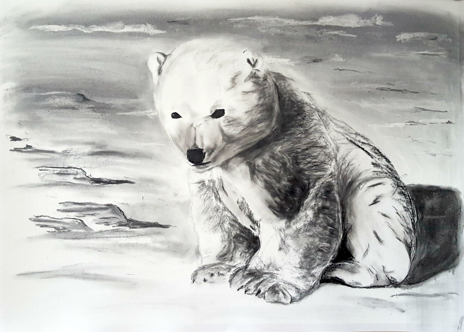 Белый медведь карандашом