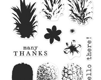 Hero Arts Clear Stamps Color Layering Pineapple CL976