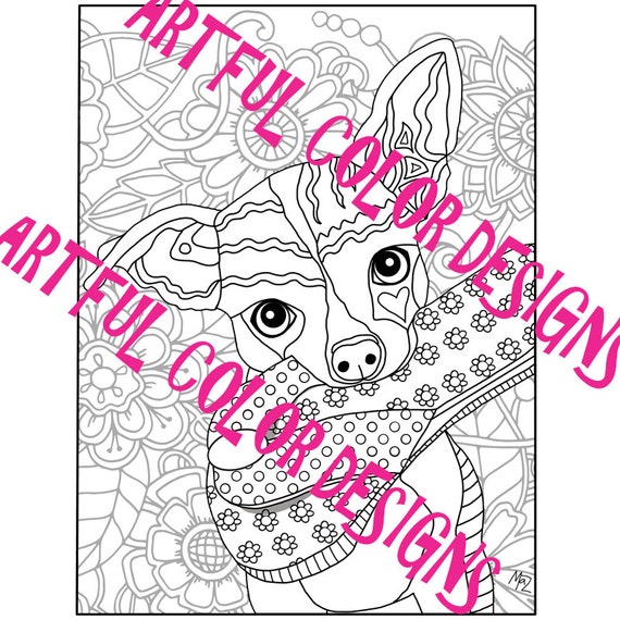 Adorable Chihuahua Dog Coloring Page Printable Download For