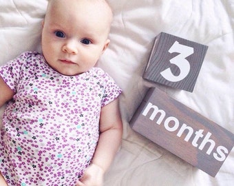 Baby age blocks. Newborn Baby gift. Large gender neutral baby gift. Baby milestone blocks. Baby photo props. Pregnancy blocks
