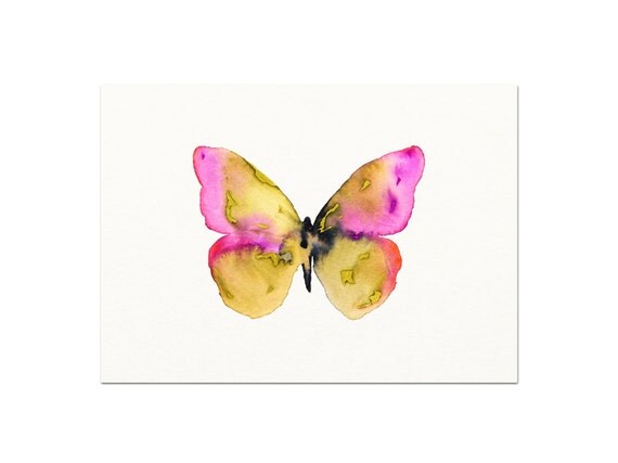 Watercolor Butterfly Illustration.