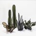 Stained Glass Cacti Sculptures (GROUP of 5) // Stained Glass Cactus