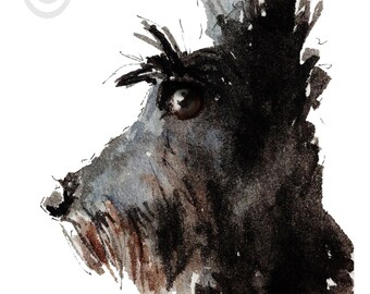 Scottish Terrier Dog Art Print Scottie Dog #46