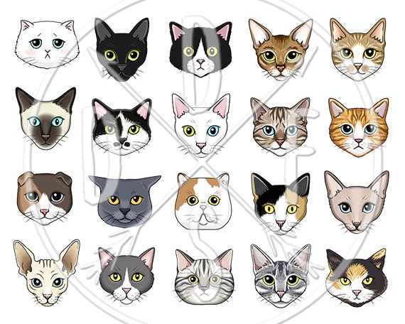 Download A0124 Cat Faces Clipart Black White Tabby Siamese