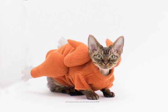 Sphynx Cat Clothes Cat Turkey Sweater Dog Costume Christmas