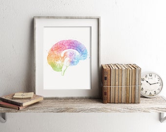 Brain Anatomy Print - Watercolor Brain Print - Brain Art - Brain Watercolor Art - Medical Office Decor - Medical Student Gift