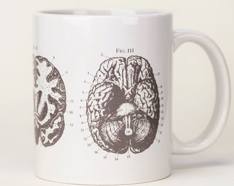 Brain Anatomy Mug | Nurse Gift, Neuroscience, Ceramic Coffee Mug, Anatomical, Nursing Science Biology, Grays Anatomy, Neuron, teacher gift