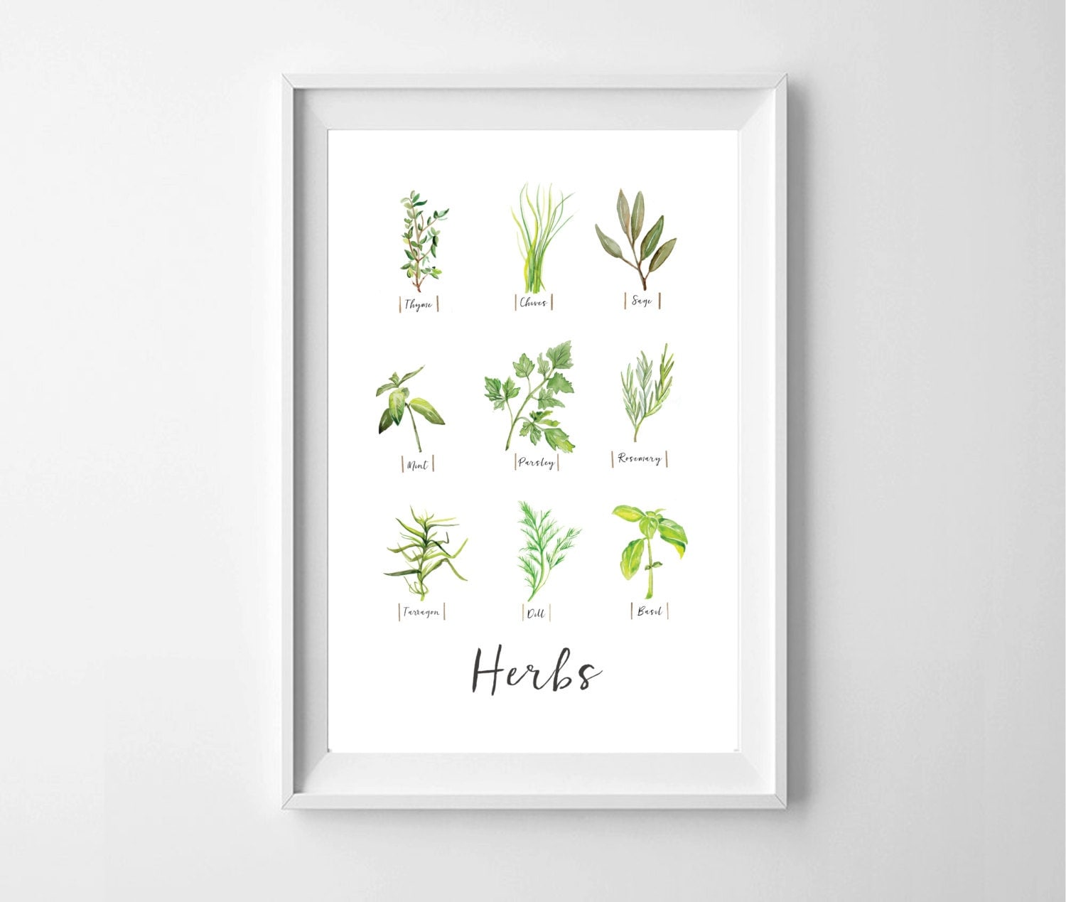 Watercolor Herb Print Kitchen Herbs Wall Art Print Herb