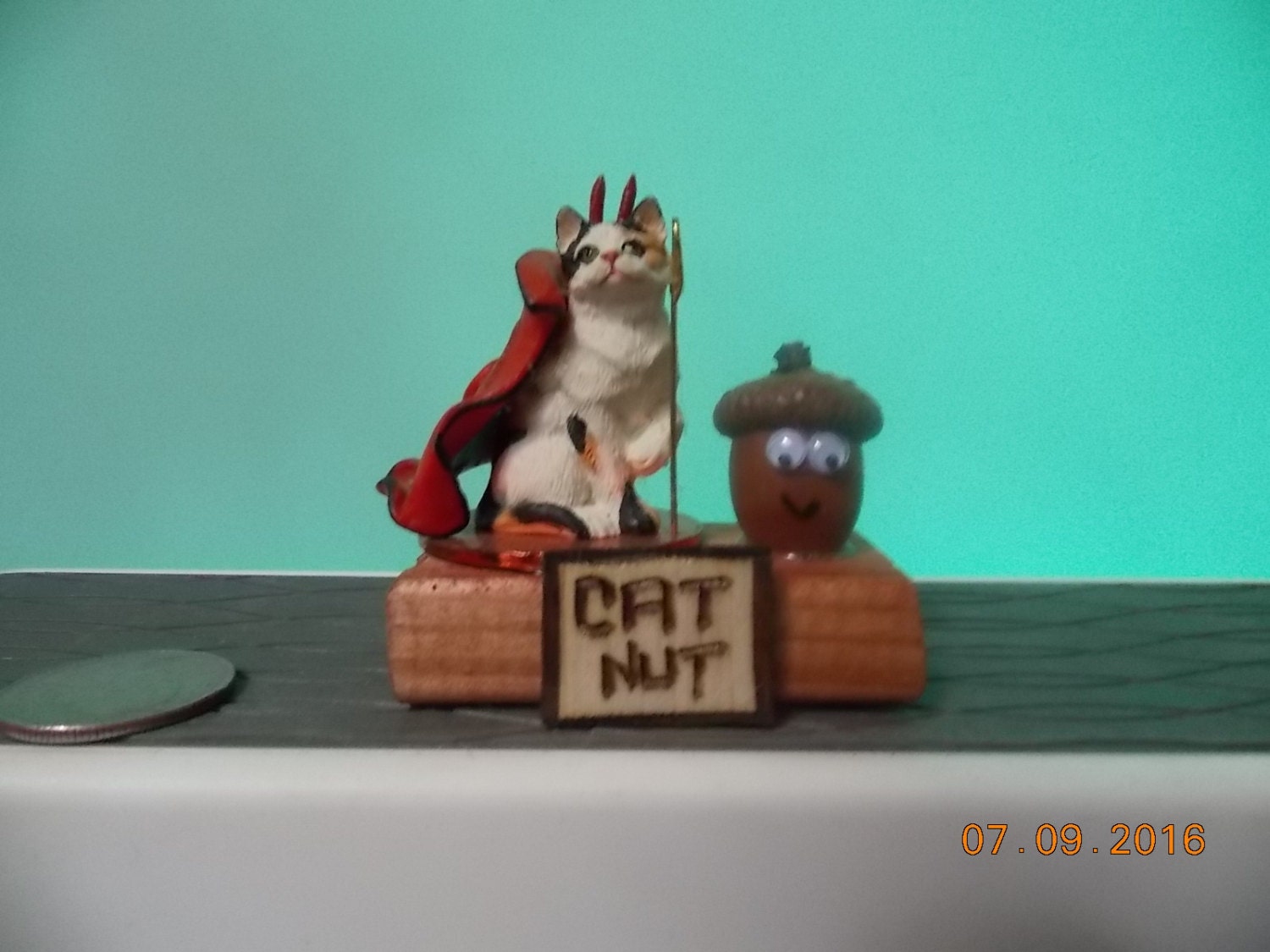 Cat Nut What are you Nuts about