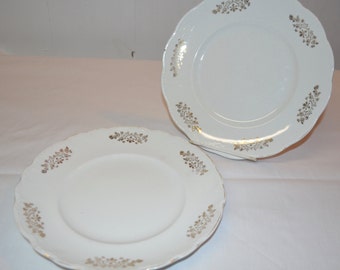 Homer Laughlin Hudson & The Angelus Pattern 9" Dinner Plates - SET of 2 - Turn of the Century - Early 1900s Vintage Plates - Gold Trim
