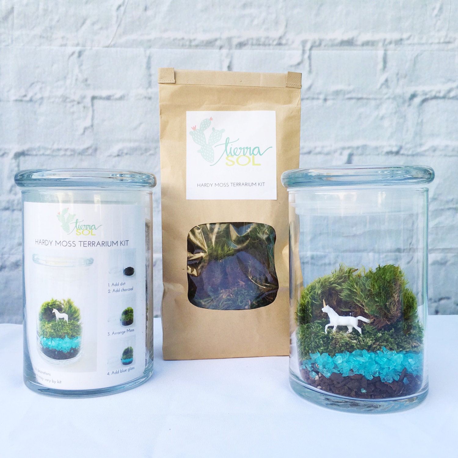 Unicorn Lake Terrarium Jar Terrarium Kit Glass Terrarium