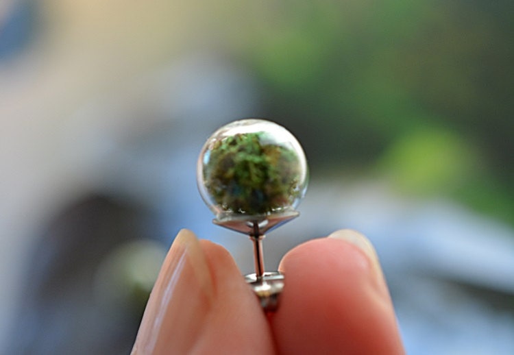 Real moss earrings Glass globe stud earrings Nature by LiliaLy