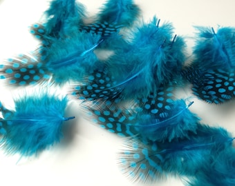 Real feather chicken feathers, blue spotted 20 units (A 968)
