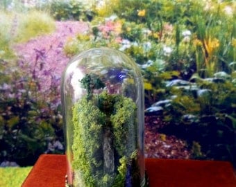 Terrarium Miniature, Cascade sous dôme en verre, Accessoire Décoration Maison de poupées Echelle 1/12