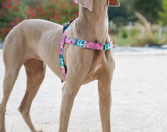 Dog harness adjustable (amaranth - fuchsia flowers)/ No pull harness/ Made to mesure/ Pet supplies/ puppy small large dog / gift for dog