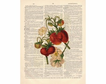 Strawberry botanical Etsy