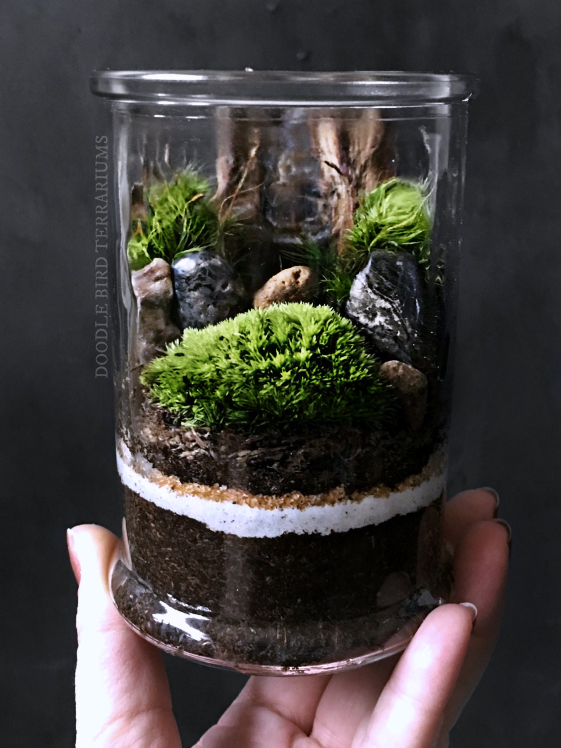 Miniature Landscape Terrarium Scene in Decorative Glass Jar