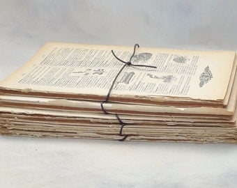 30 Dictionary Pages, 1920s Vintage French Paper Bundle, French Book Pages, Paper Ephemera, Scrapbooking, DIY Wedding Favors,, Paper Pack
