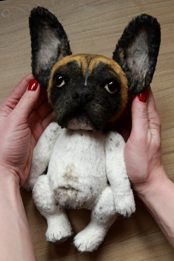 teddy bear french bulldog