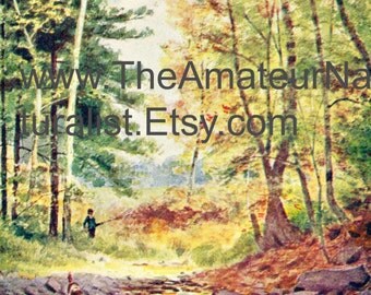 Vintage Illustration, Autumn Scene with Stream, Antique Print, Digital Download