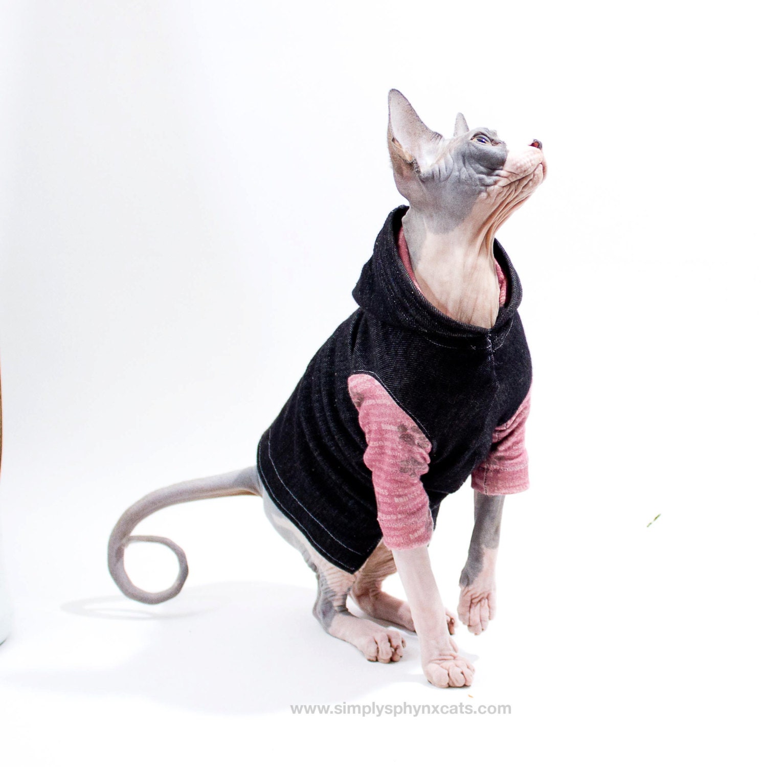 Sphynx Clothes Cat HOODIE Denim Long Sleeved with Hairless t