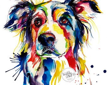 Colorful Border Collie Art Print - Print of Original Watercolor Painting