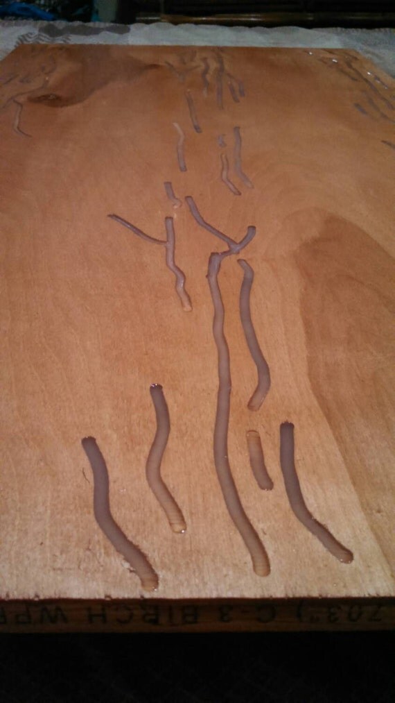 Epoxy resin glow tables