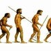 theNakedApe