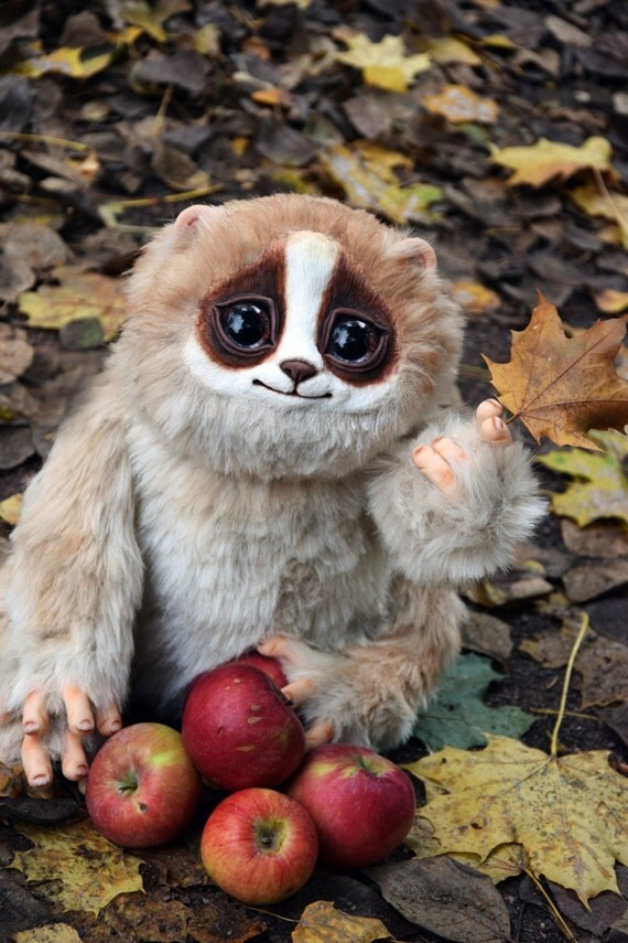 Pygmy Slow Loris