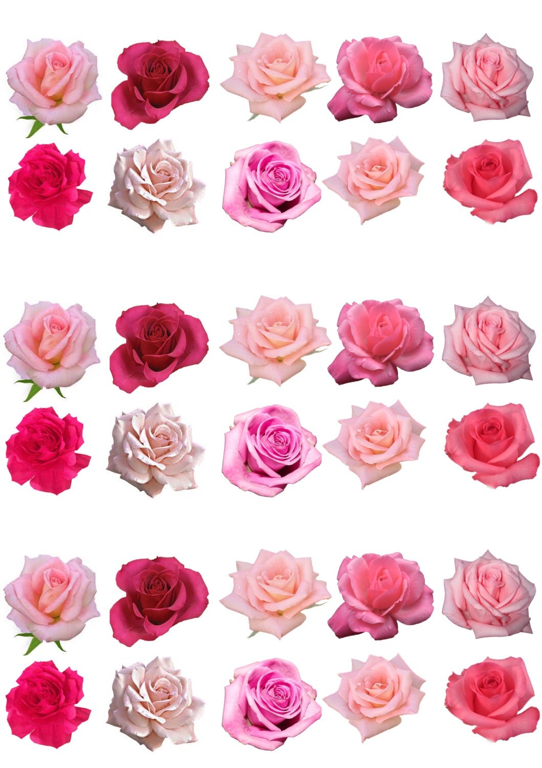 30 Pink Roses Flowers Edible Wafer Paper Cupcake