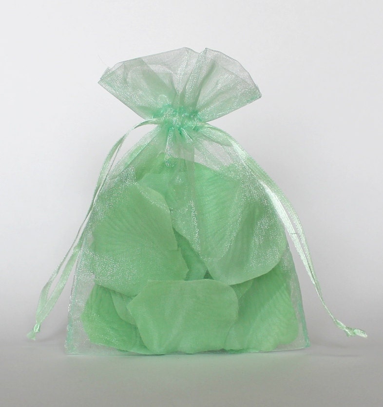 Organza Gift Bags Mint Green Sheer Favor Bags with Drawstring